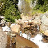 Review photo of Eagles Roost Camp — Mount Rainier National Park by Danielle S., August 29, 2018