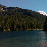 Review photo of Eagles Roost Camp — Mount Rainier National Park by Danielle S., August 29, 2018