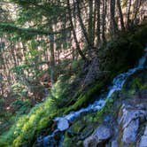 Review photo of Eagles Roost Camp — Mount Rainier National Park by Danielle S., August 29, 2018