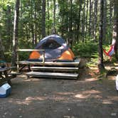 Review photo of Mount Desert Campground by Danielle V., August 1, 2016