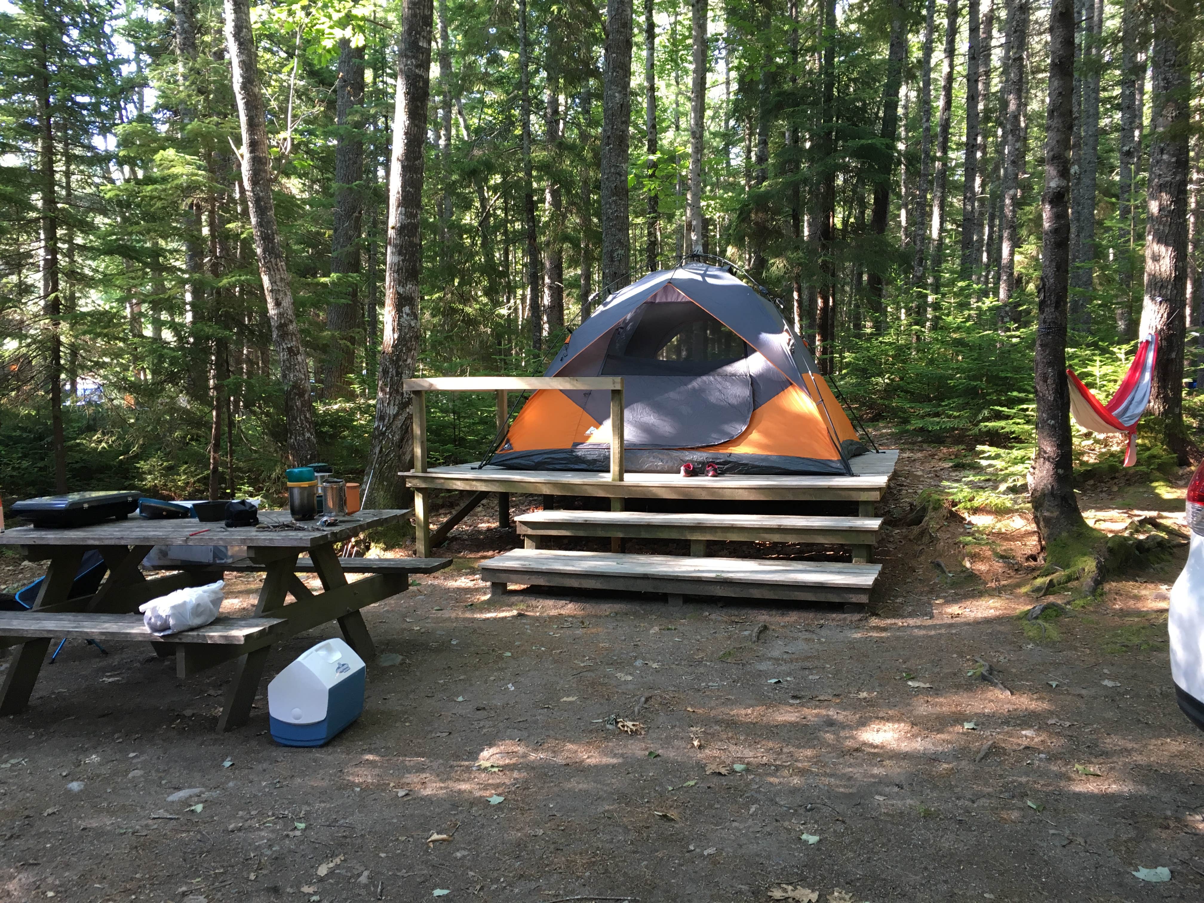Camper submitted image from Mount Desert Campground - 4