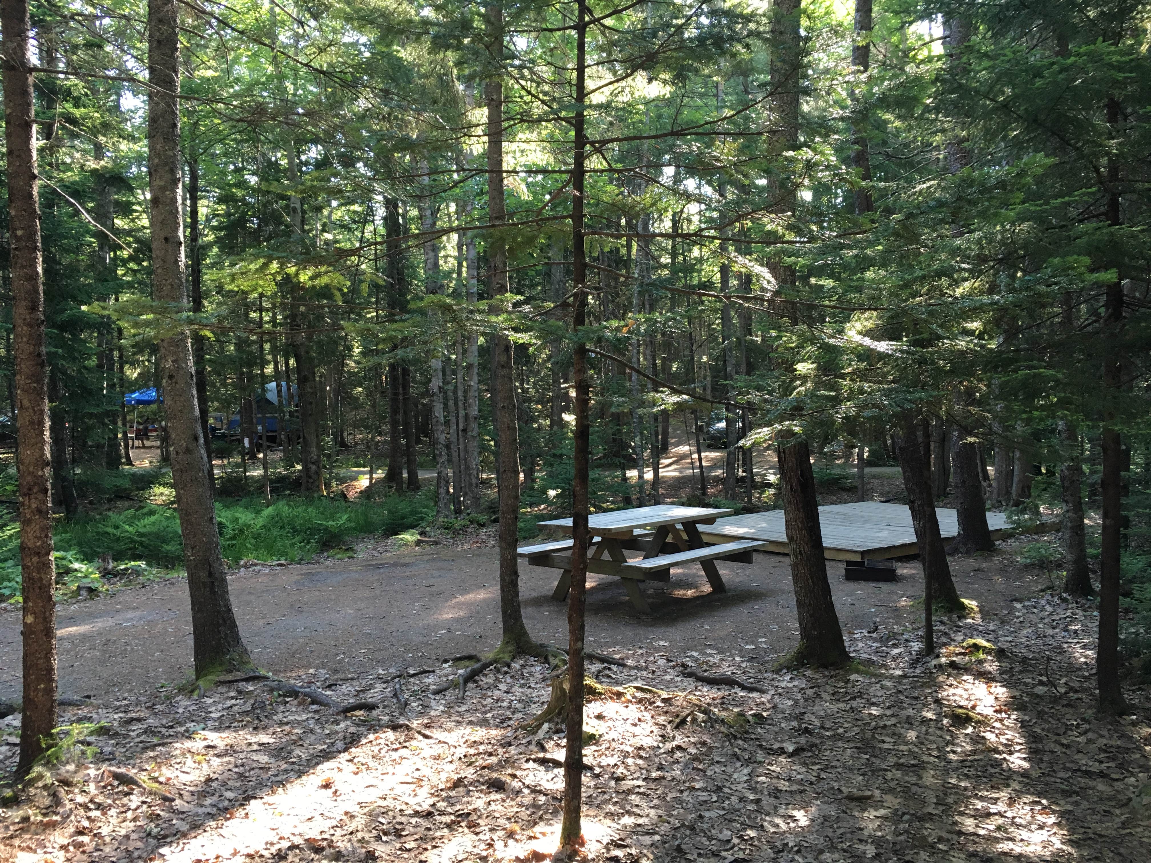 Camper submitted image from Mount Desert Campground - 2