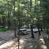 Review photo of Mount Desert Campground by Danielle V., August 1, 2016