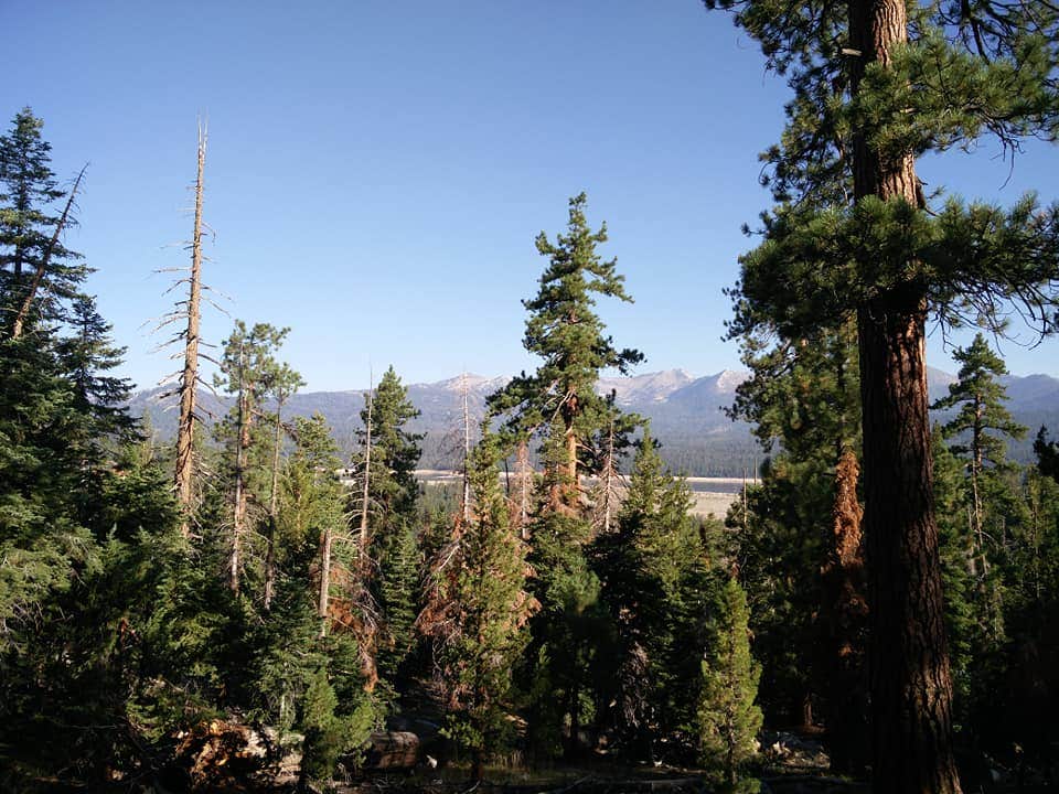 Camper-submitted photo at Vermillion near Mono Hot Springs, CA