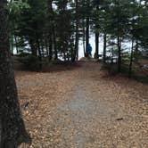 Review photo of Mount Desert Campground by Danielle V., August 1, 2016