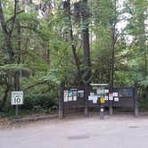 Review photo of Black Canyon Campground - Willamette NF by Ashley B., August 29, 2018