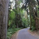 Review photo of Black Canyon Campground - Willamette NF by Ashley B., August 29, 2018