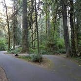 Review photo of Black Canyon Campground - Willamette NF by Ashley B., August 29, 2018