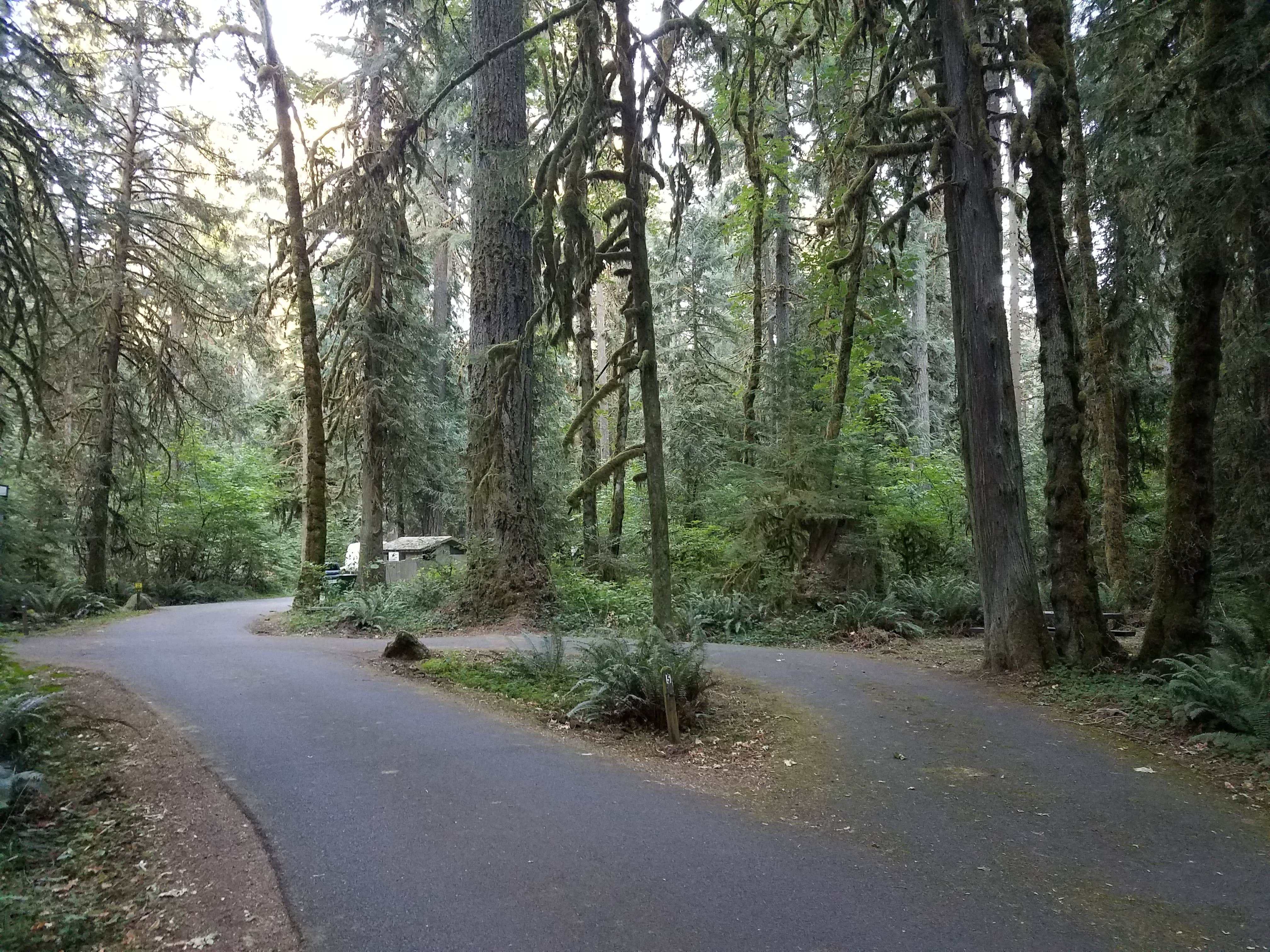 Camper submitted image from Black Canyon Campground - Willamette NF - 4