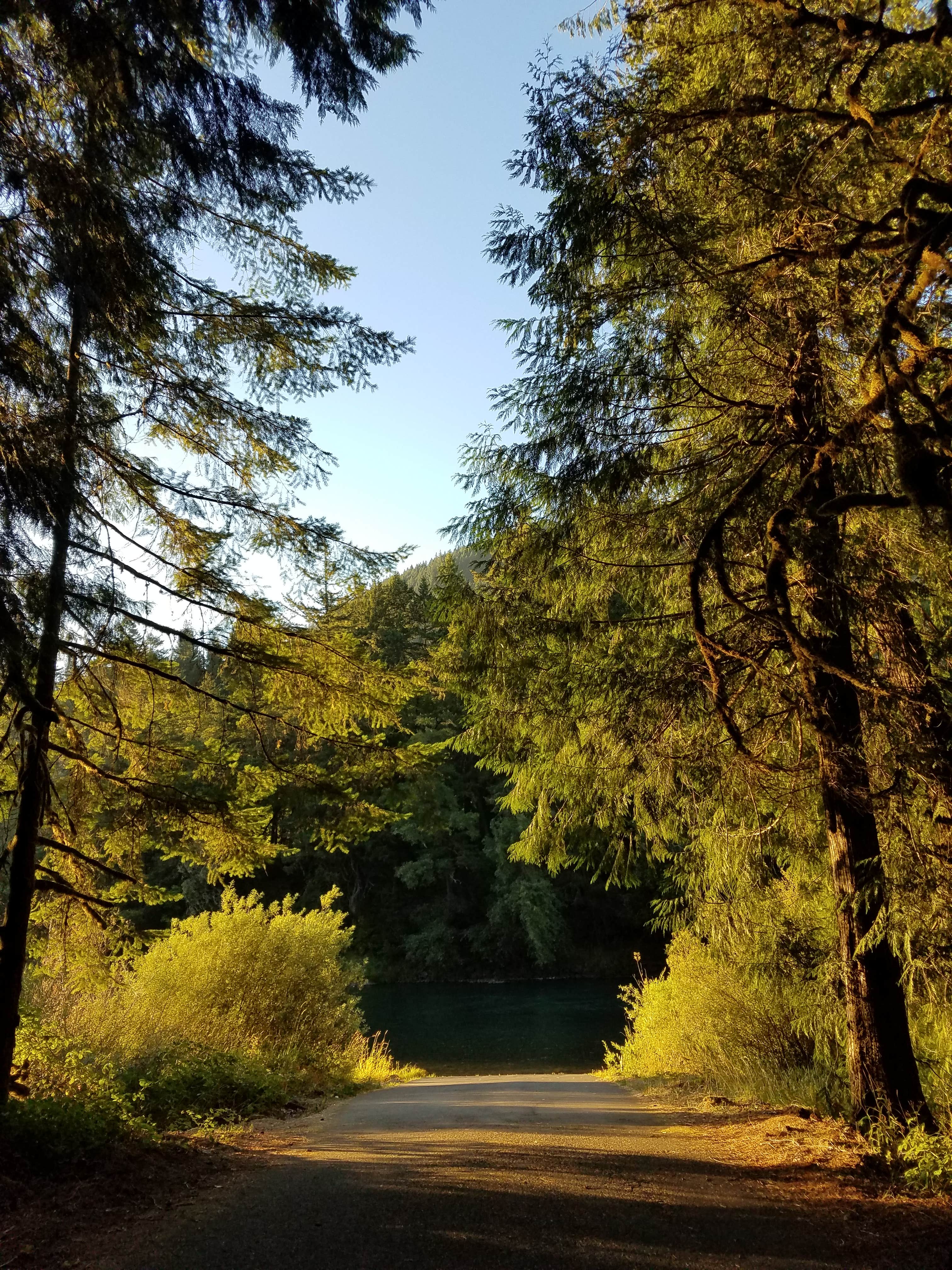 Escape to Enchantment: Uncovering the Magic of Lower Black Canyon Campground