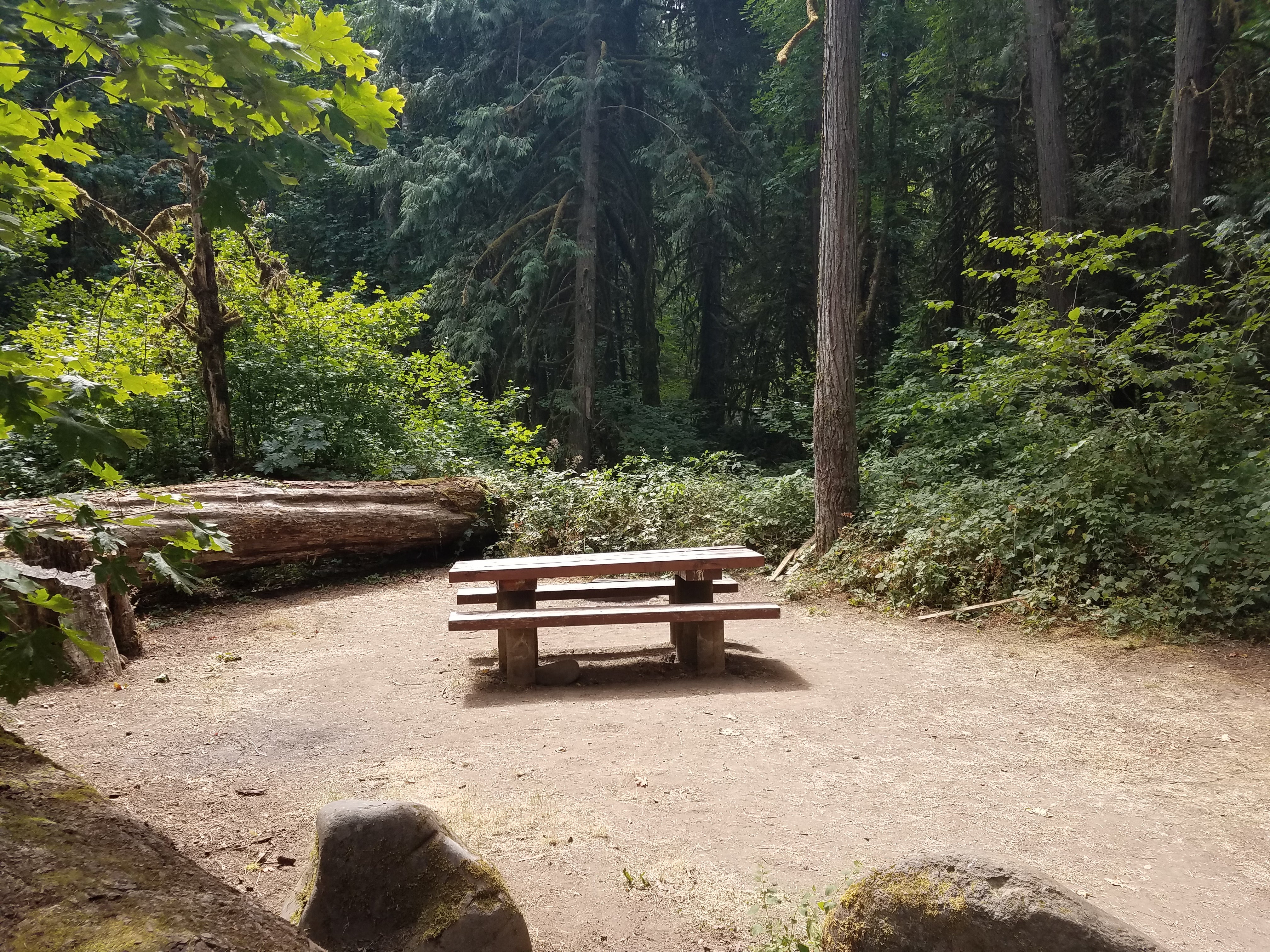 Camper submitted image from Black Canyon Campground - Willamette NF - 4