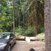 Review photo of Black Canyon Campground - Willamette NF by Ashley B., August 29, 2018