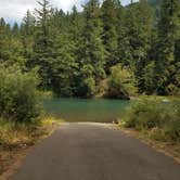 Review photo of Black Canyon Campground - Willamette NF by Ashley B., August 29, 2018