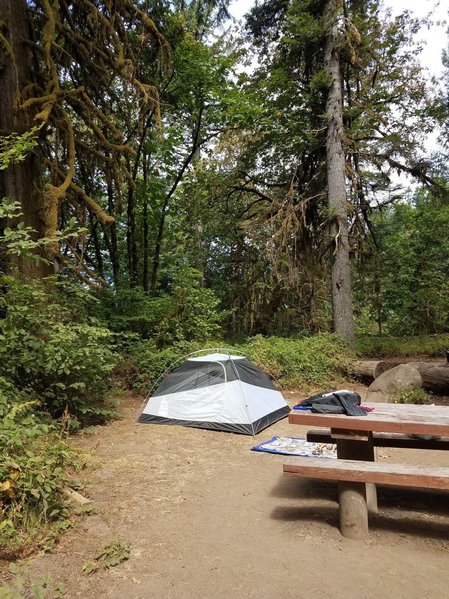 Camper submitted image from Black Canyon Campground - Willamette NF - 5
