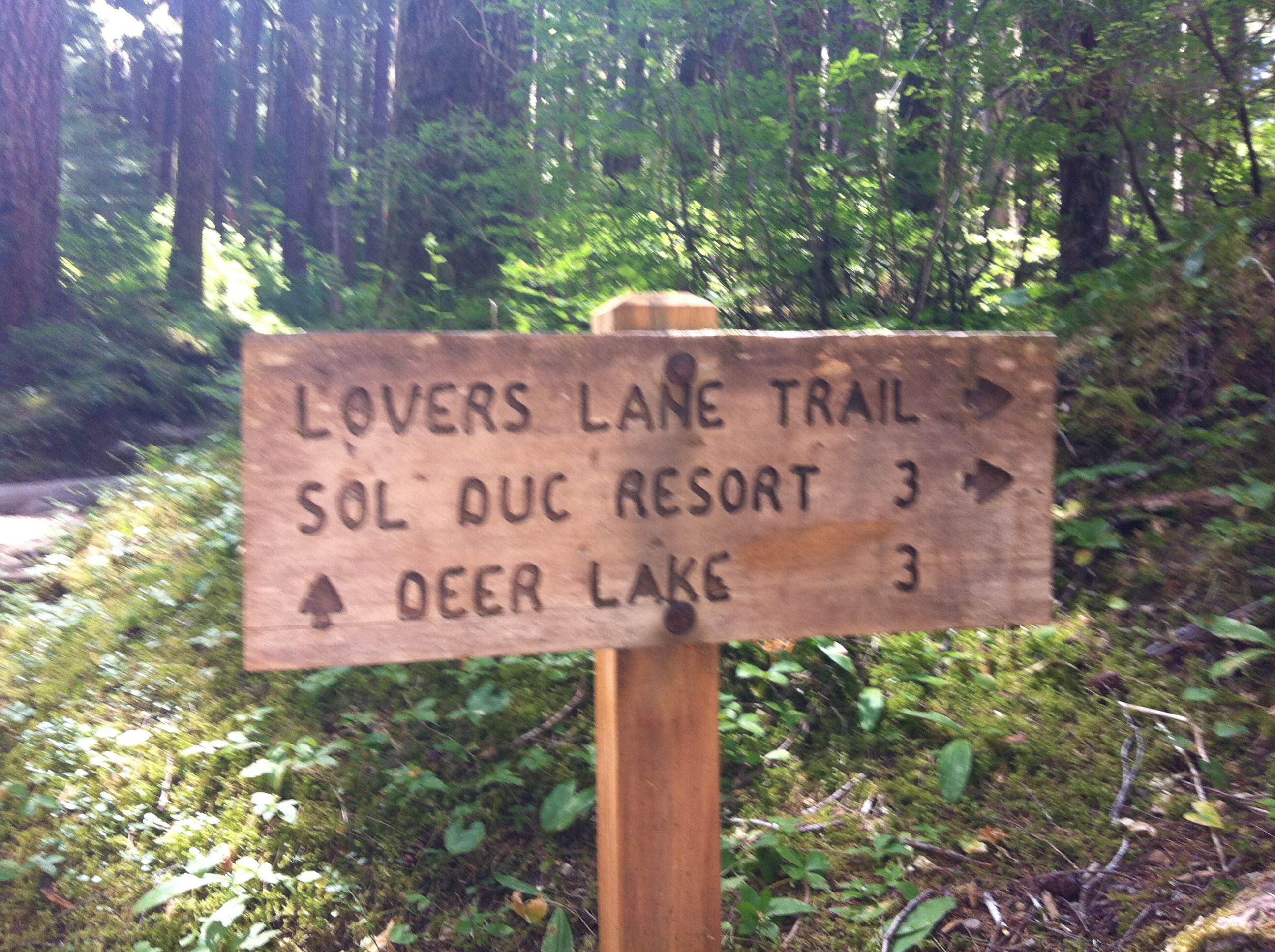 Camper submitted image from Fairholme Campground — Olympic National Park - 5