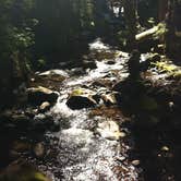 Review photo of Fairholme Campground — Olympic National Park by Rosie R., August 30, 2018