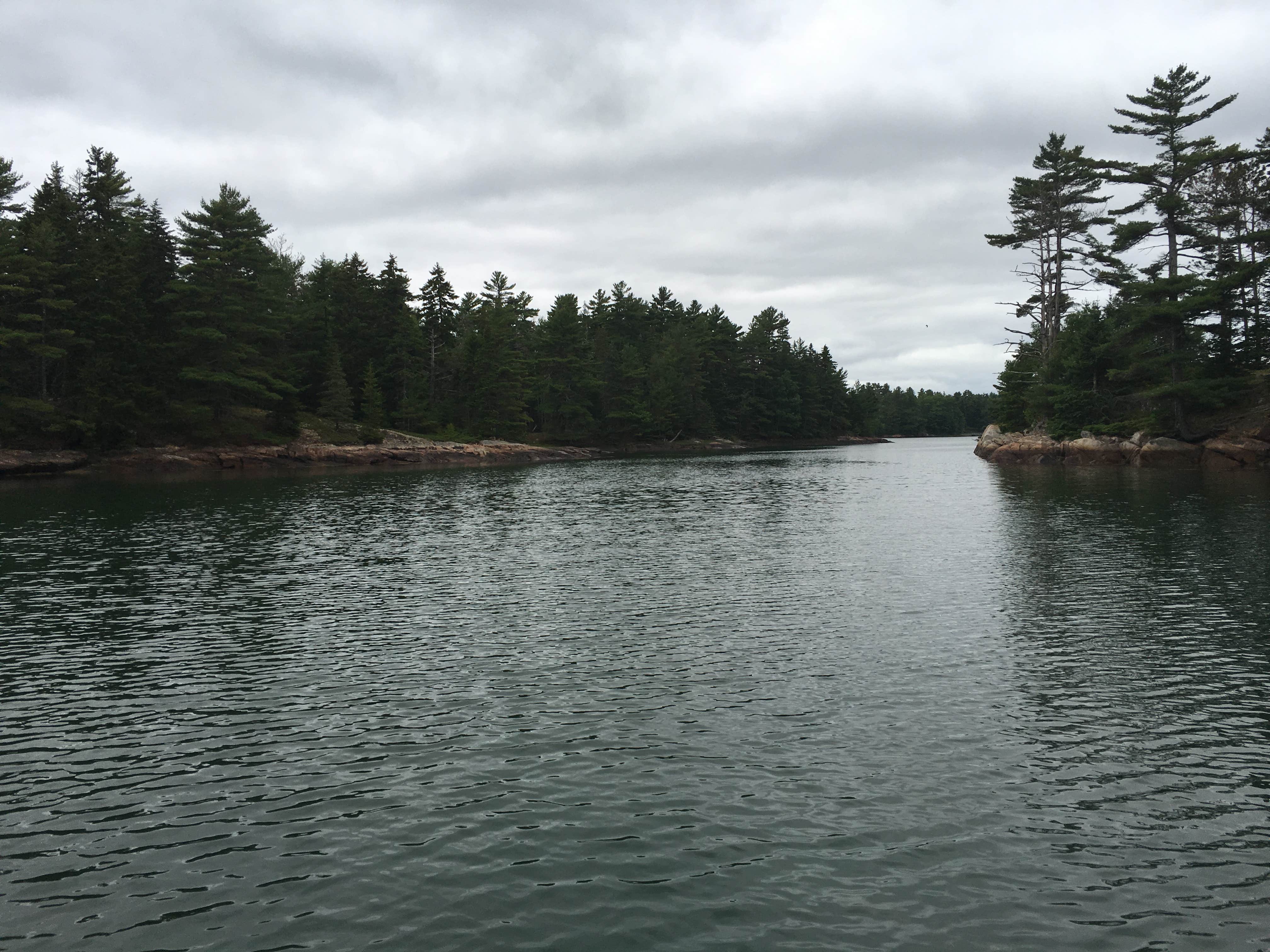 Camper-submitted photo at Mount Desert Campground near Acadia National Park
