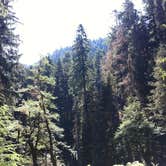 Review photo of Fairholme Campground — Olympic National Park by Rosie R., August 30, 2018