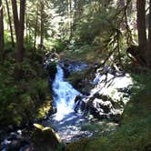 Review photo of Fairholme Campground — Olympic National Park by Rosie R., August 30, 2018