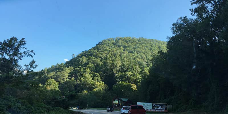 Camper submitted image from Happy Hollow Campground — Nathan Bedford Forrest State Park