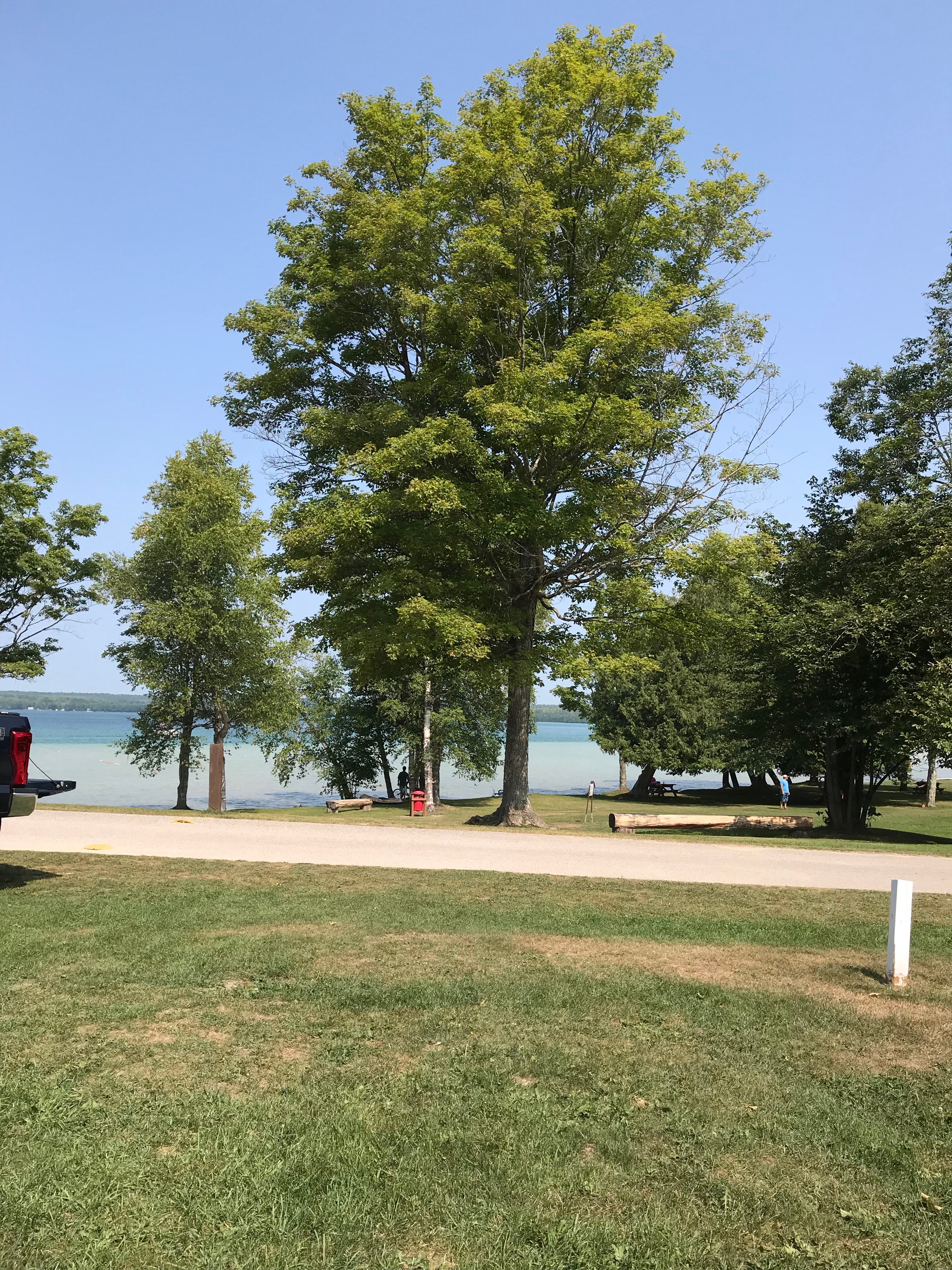 Camper submitted image from Luce County Park & Campground - 1