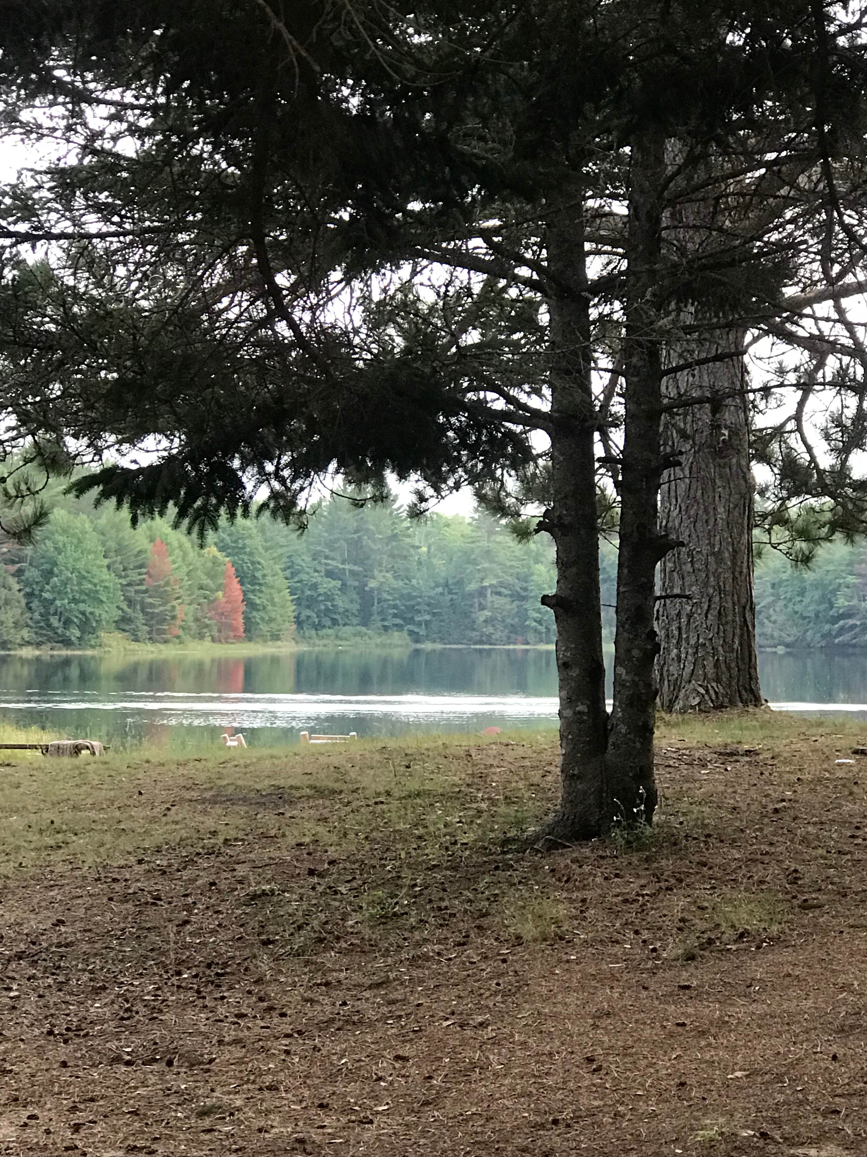 Escape to Otter Lake Village: Your Michigan Getaway Awaits!