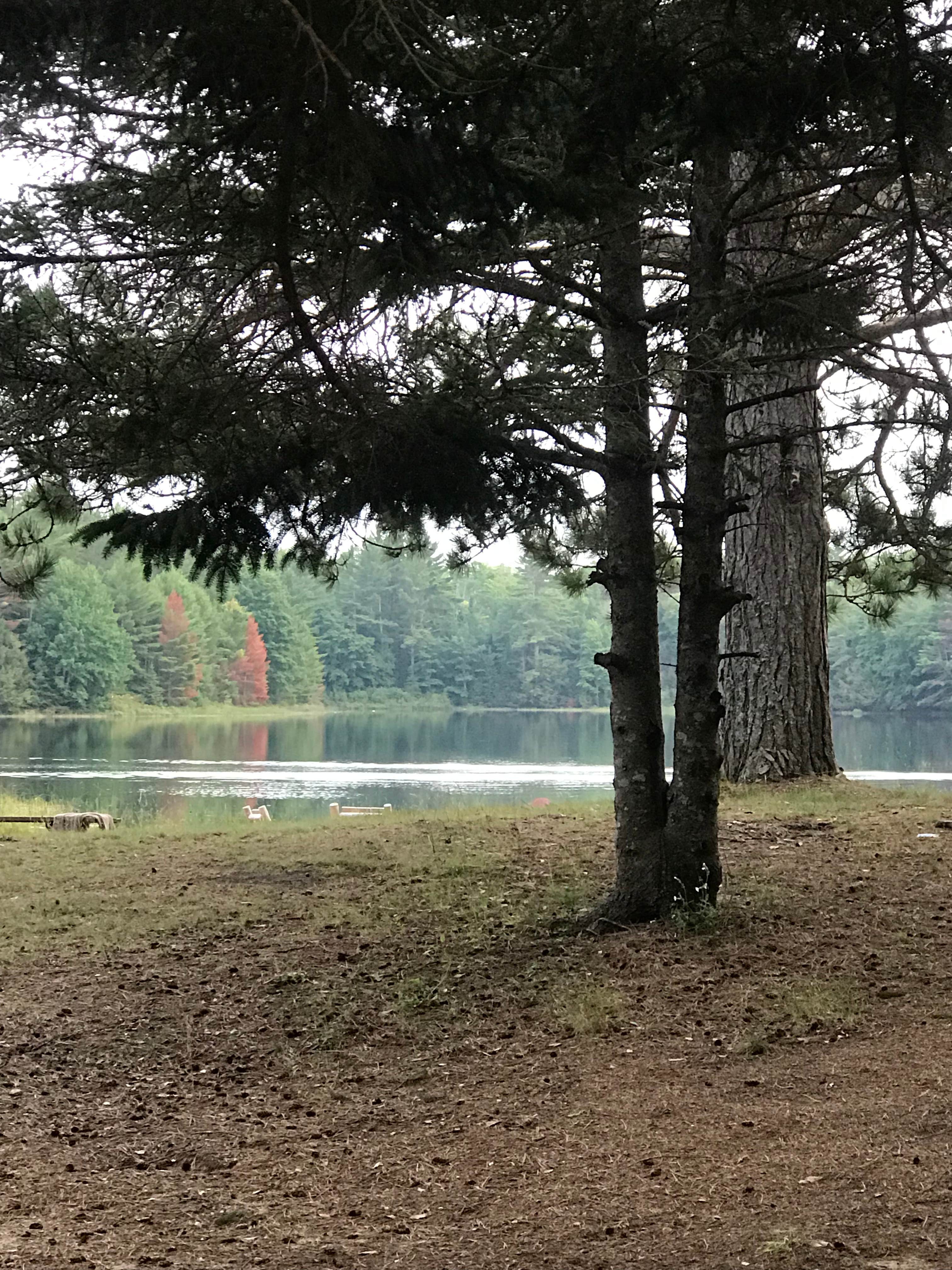 Camper submitted image from Otter Lake Park Campground - 1