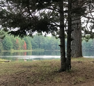 Camper-submitted photo from Otter Lake Park Campground