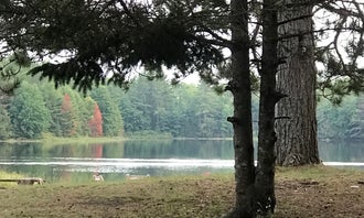Camping near Wesleyan Woods Camp: Otter Lake Park Campground, Otisville, Michigan
