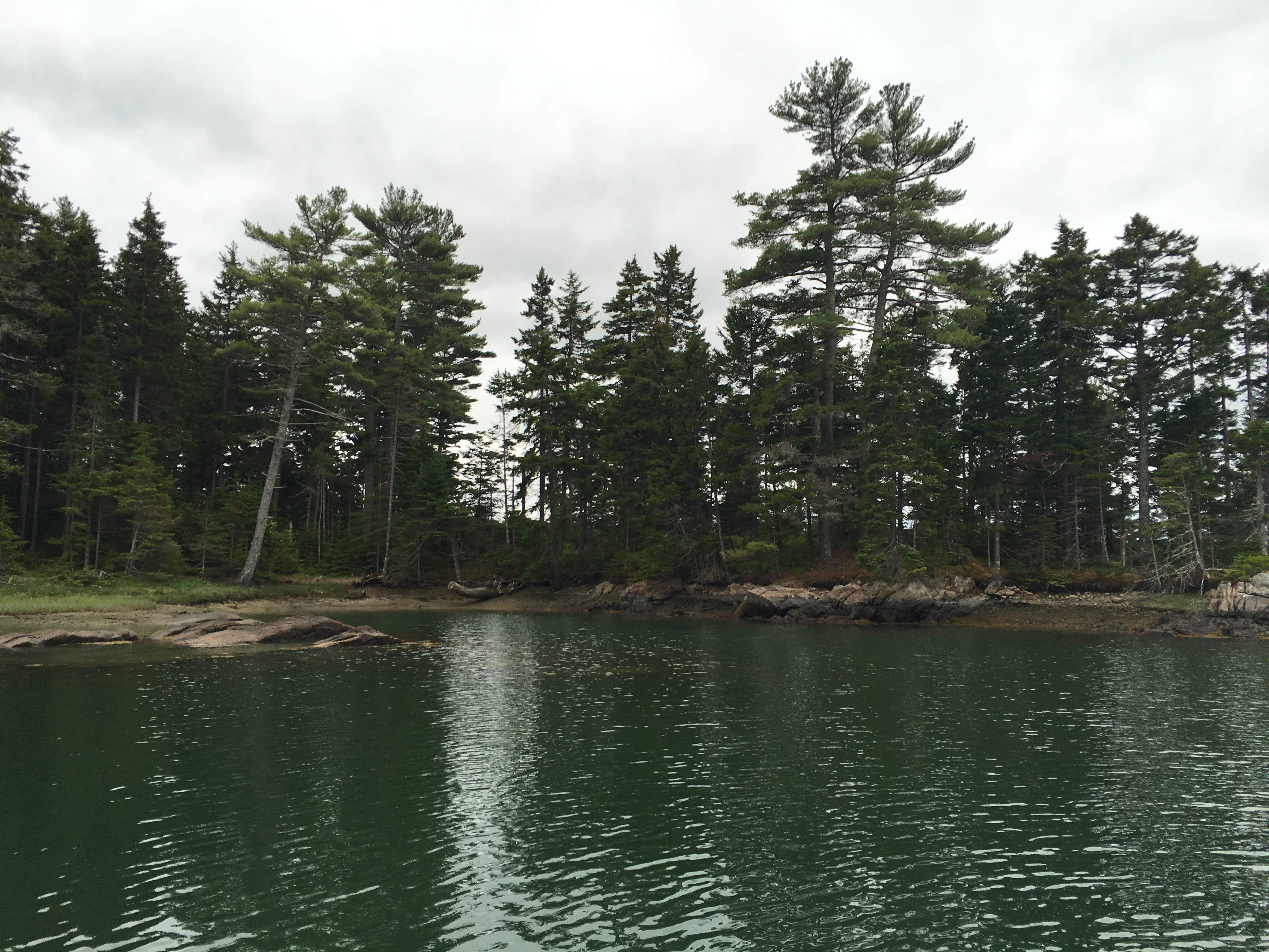 Camper-submitted photo at Mount Desert Campground near Acadia National Park