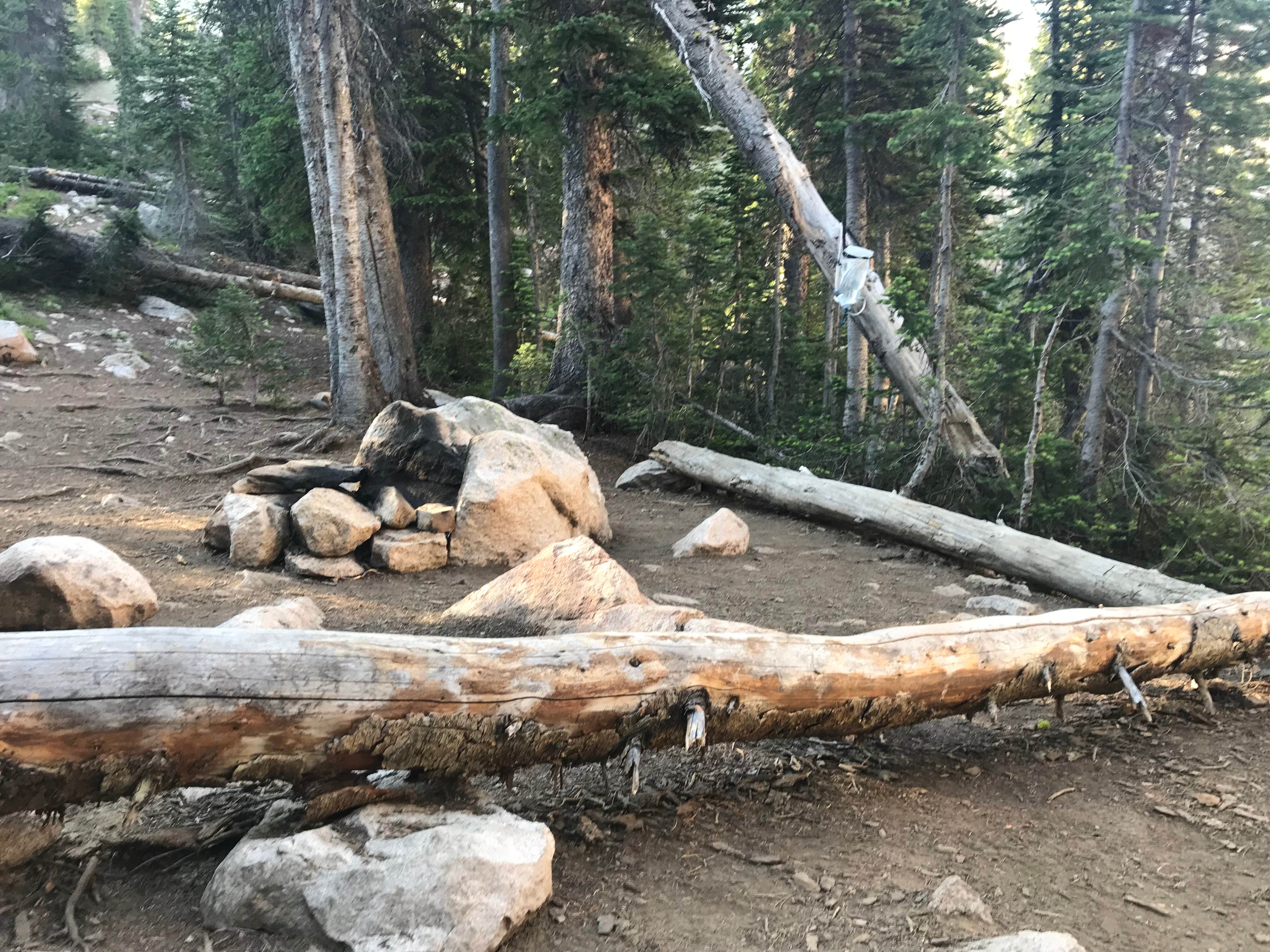 Camper-submitted photo at Middle Cramer Lake Dispersed near Stanley, ID