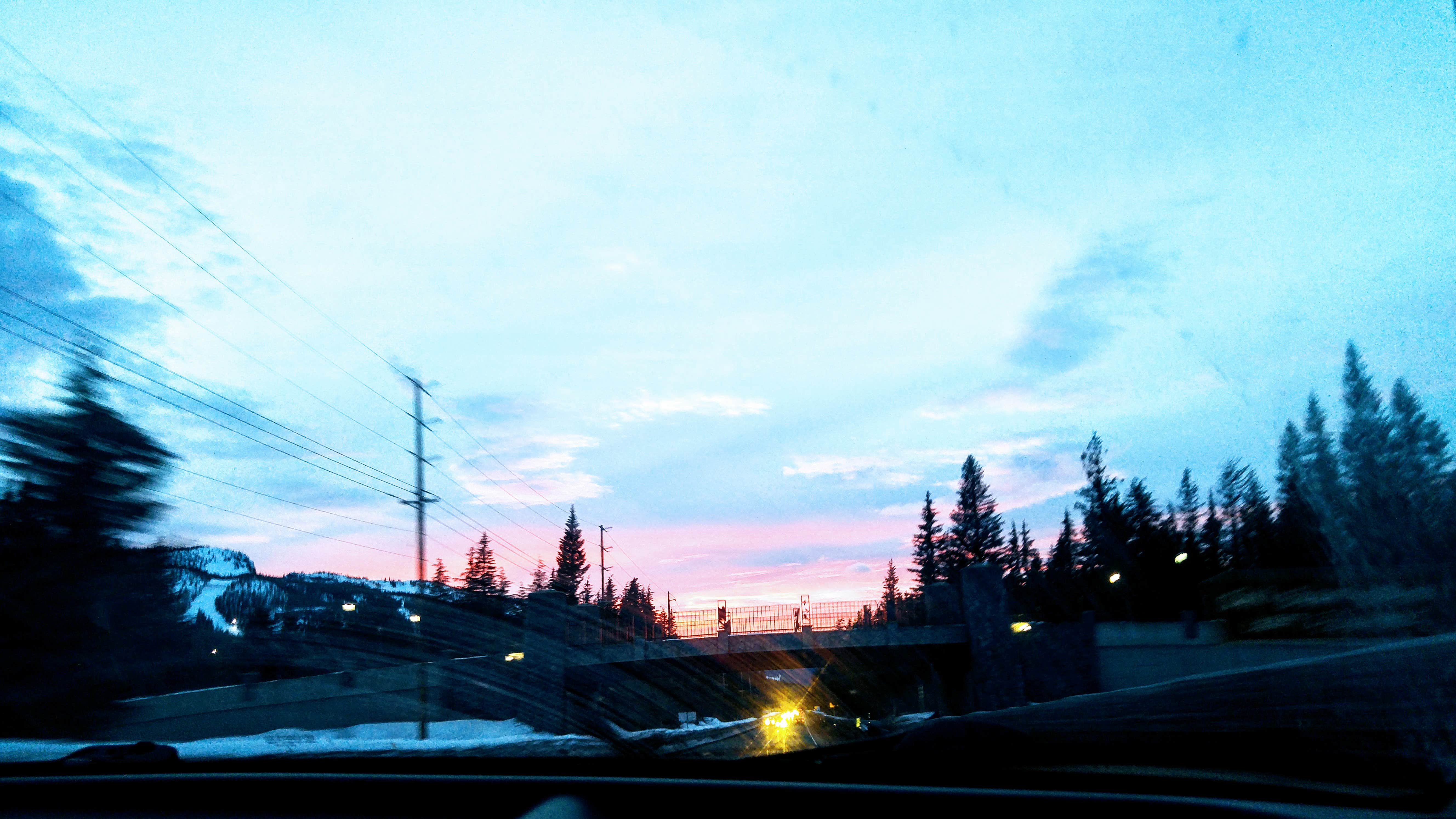 View All