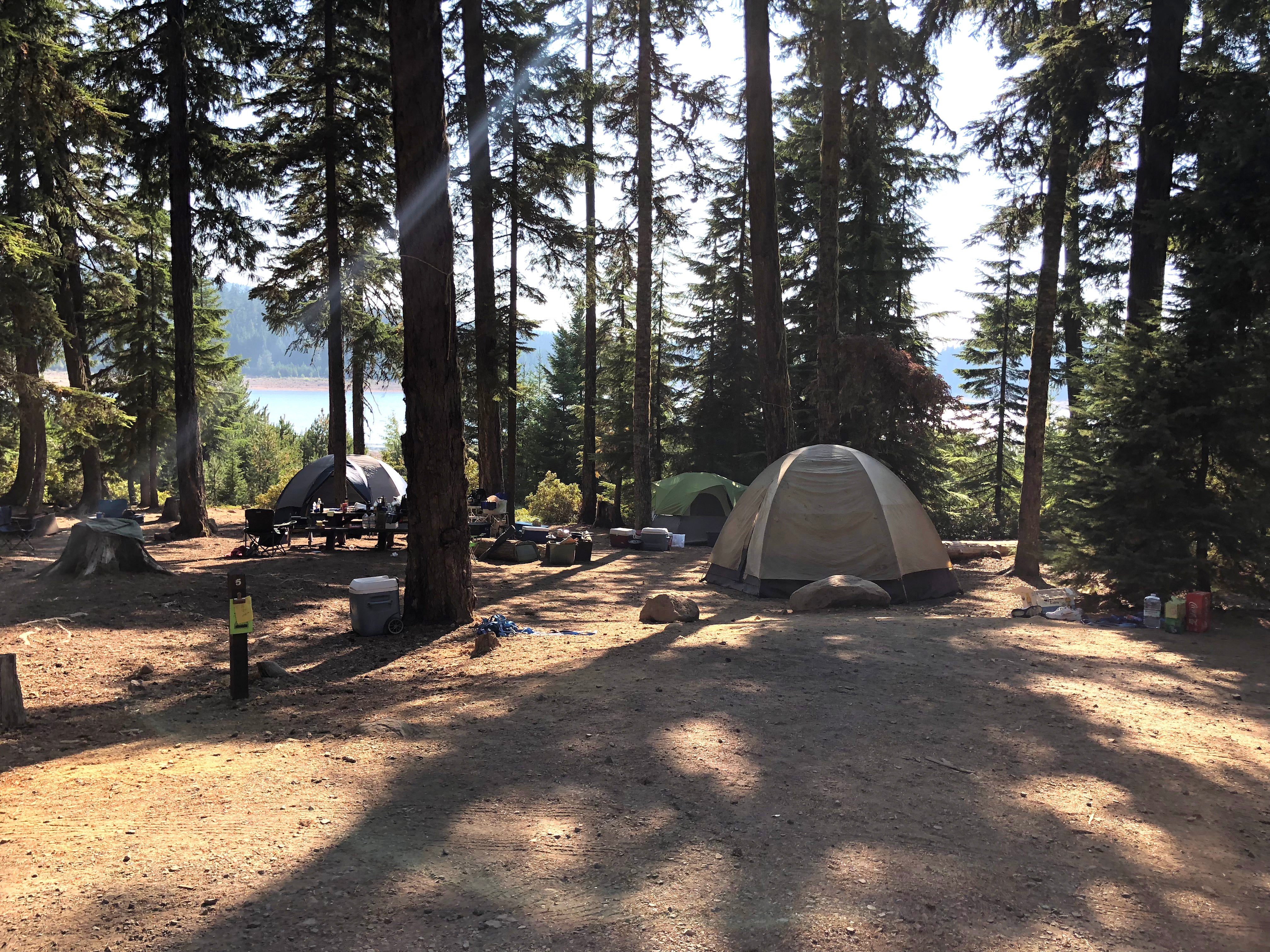 Camper submitted image from Clear Lake Campground - 4