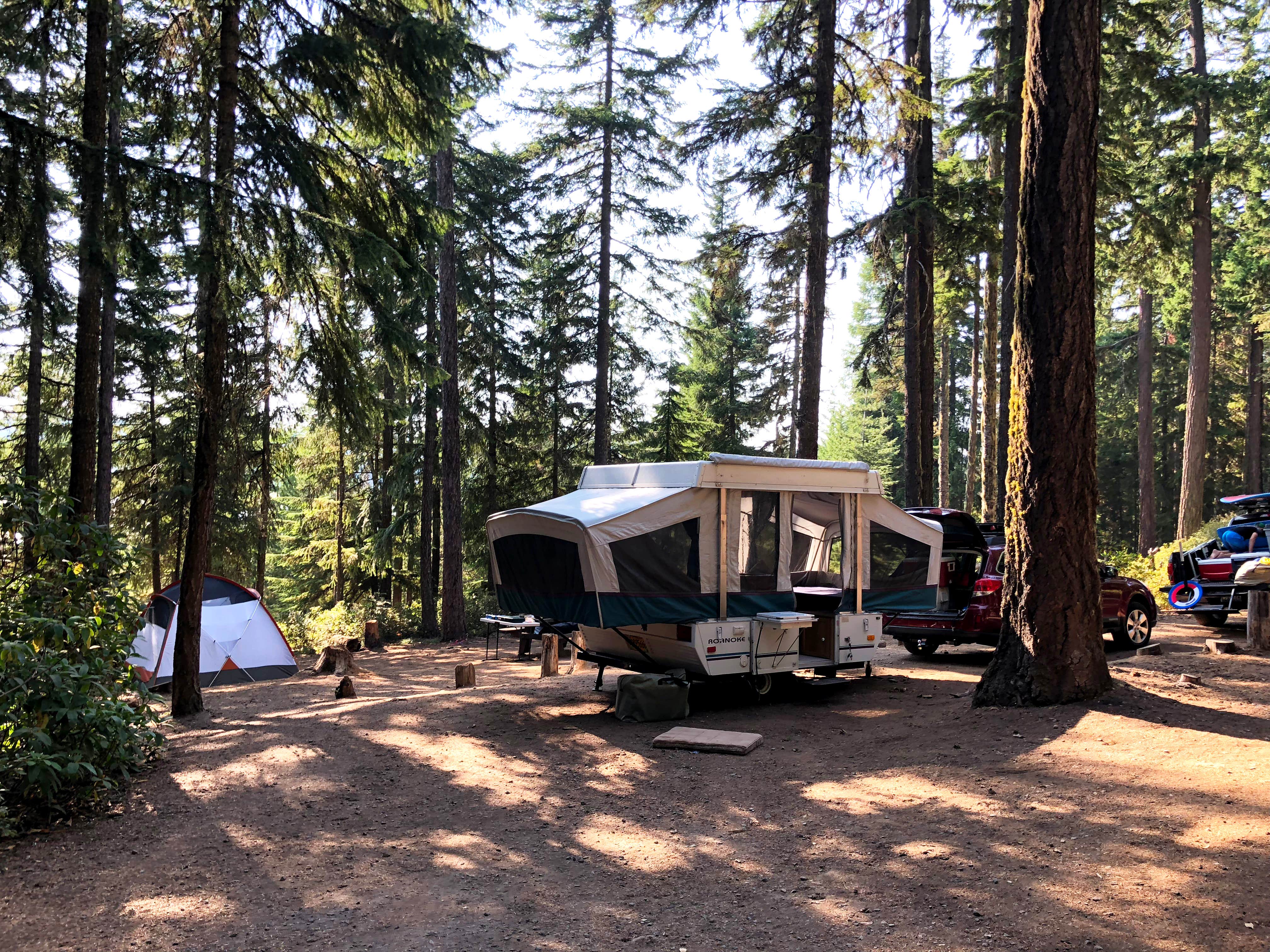 Corinna B.'s photo at Clear Lake Campground near Mt. Hood National Forest
