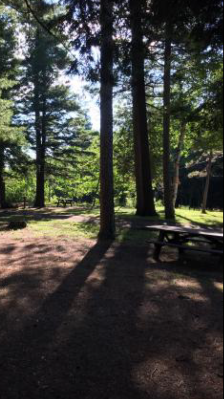 Camper submitted image from Wilmington Notch - 5
