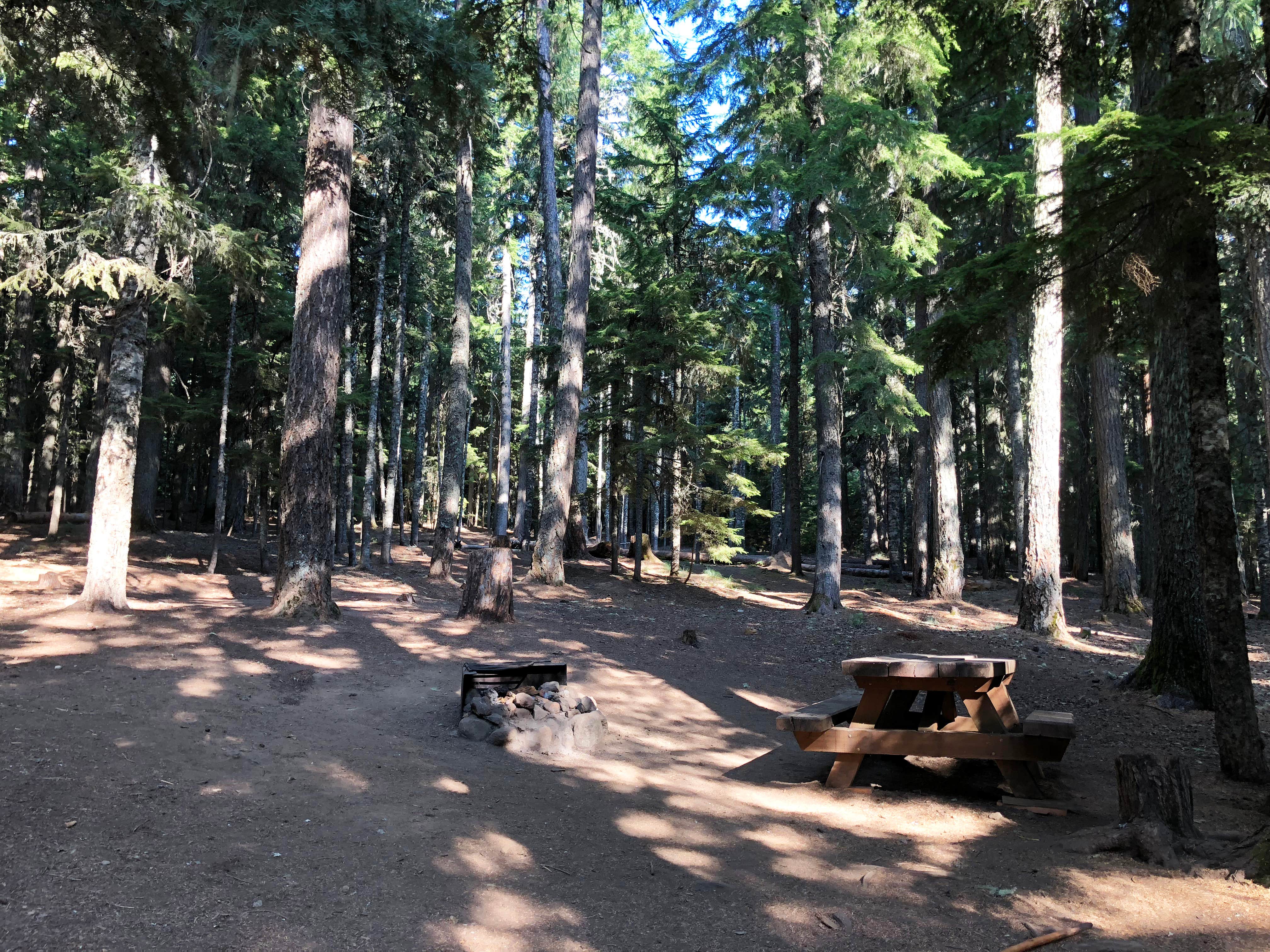 Camper-submitted photo at Clear Lake Campground near Welches, OR