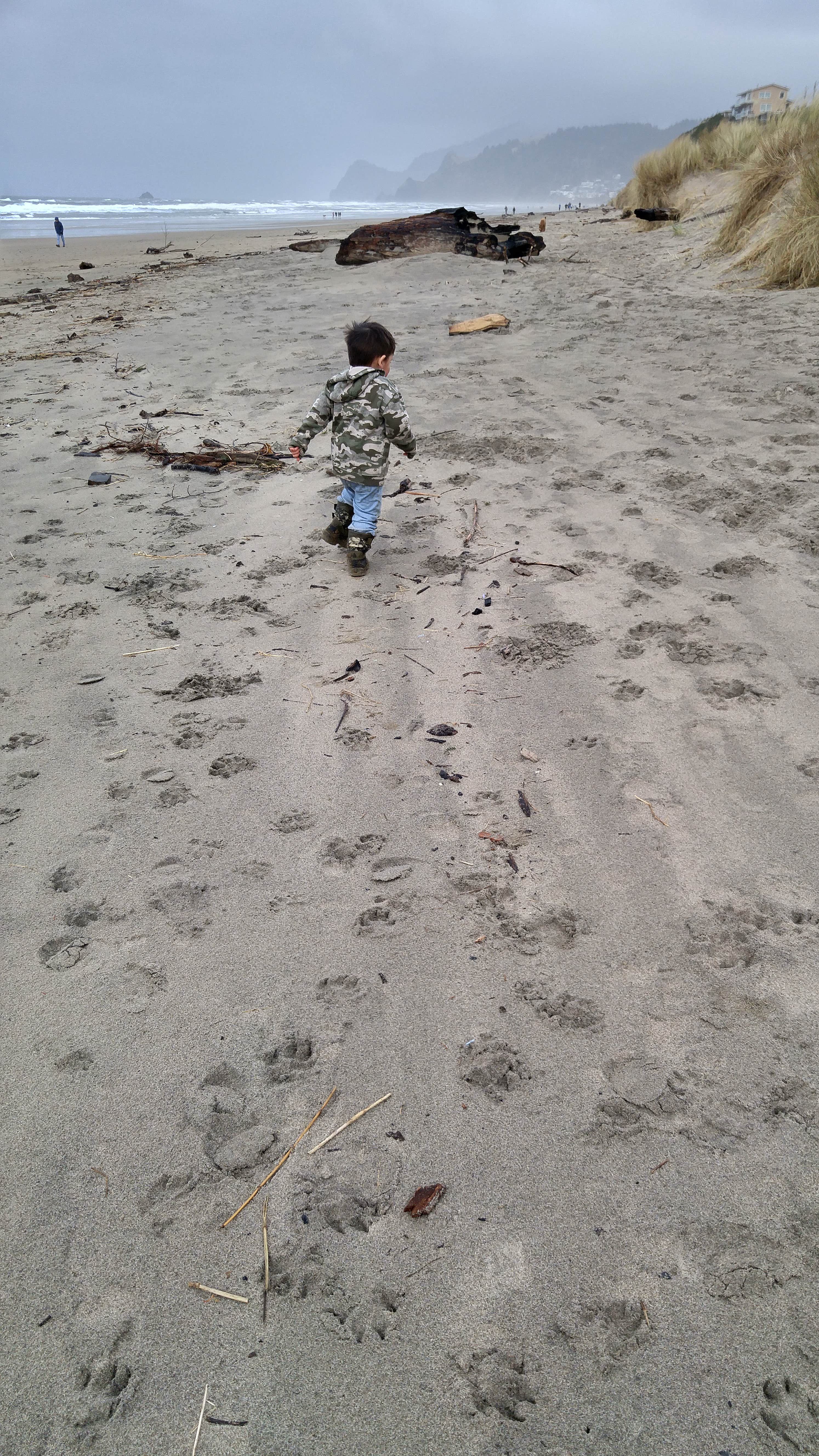 Camper submitted image from Lincoln City KOA - 4