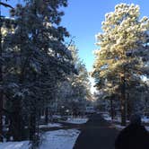 Review photo of Mather Campground — Grand Canyon National Park by Thad M., August 1, 2016