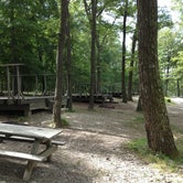Review photo of Beaver Pond Campground — Harriman State Park by phillip L., August 1, 2016