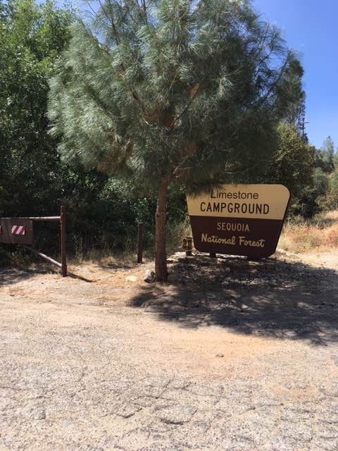 Camper submitted image from Limestone Campground - 2
