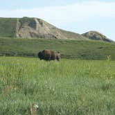 Review photo of Sage Creek Campground by Mary P., August 30, 2018