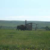 Review photo of Sage Creek Campground by Mary P., August 30, 2018