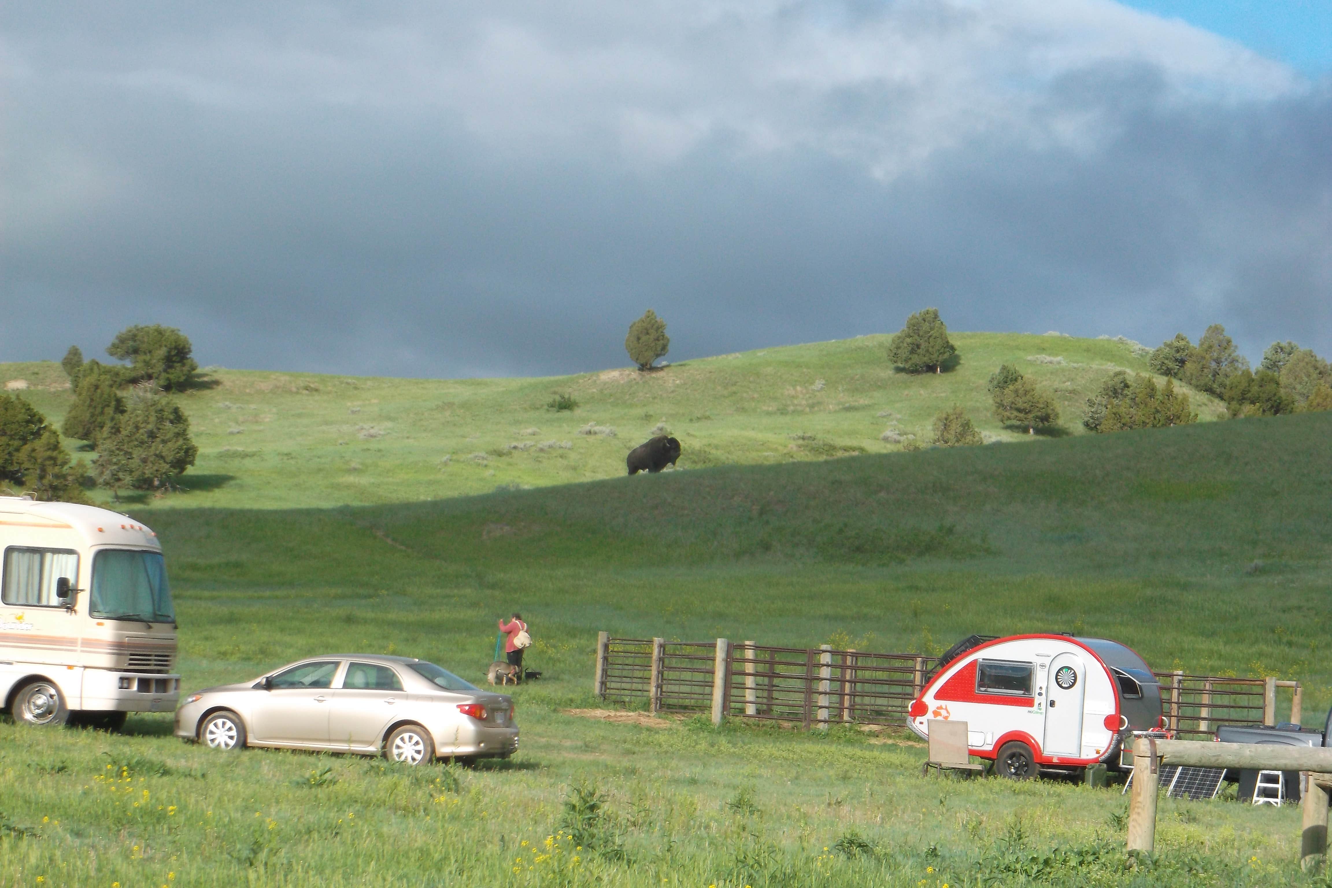 Mary P.'s photo of rv camping at Sage Creek Campground near Wall, SD