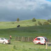 Review photo of Sage Creek Campground by Mary P., August 30, 2018