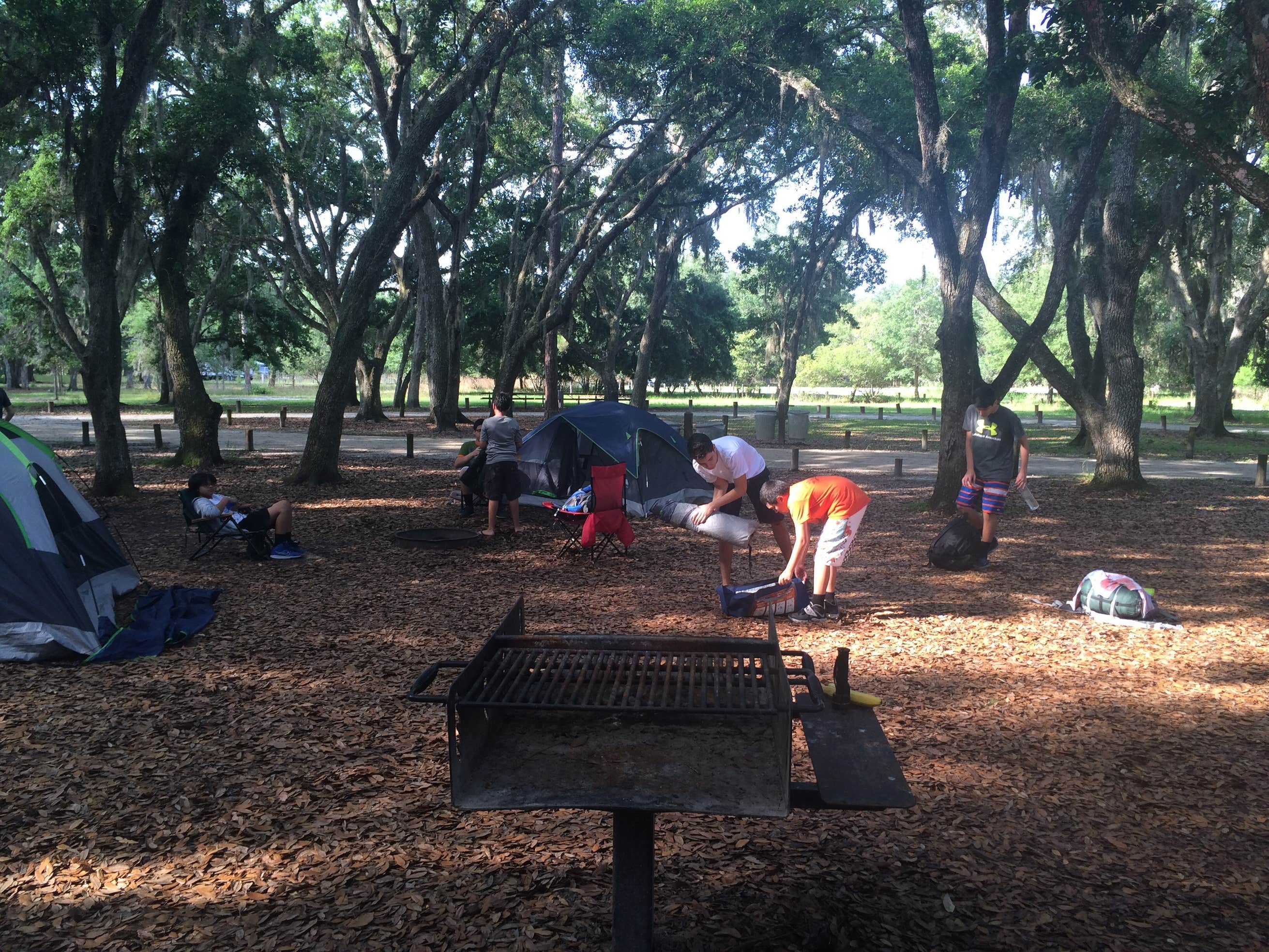 Moss Park Campground The Dyrt