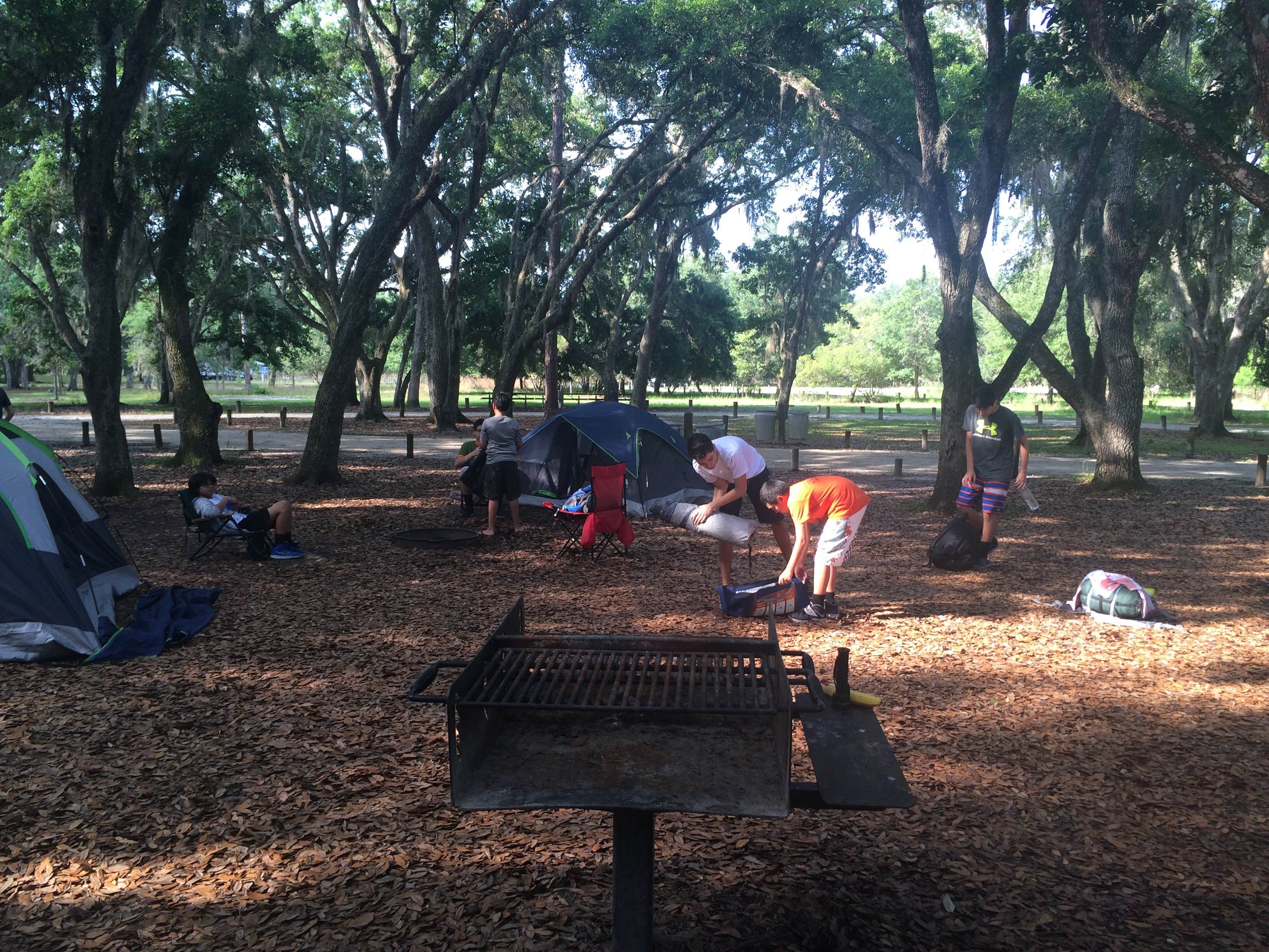 Camper submitted image from Moss Park Campground - 5