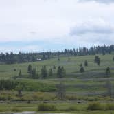 Review photo of Tower Fall Campground — Yellowstone National Park by Mary P., August 30, 2018