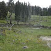 Review photo of Tower Fall Campground — Yellowstone National Park by Mary P., August 30, 2018