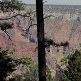 Review photo of North Rim Campground — Grand Canyon National Park by Mary P., August 30, 2018