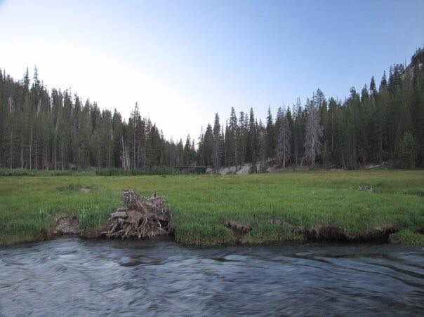 Devil's Postpile meadow at sunset